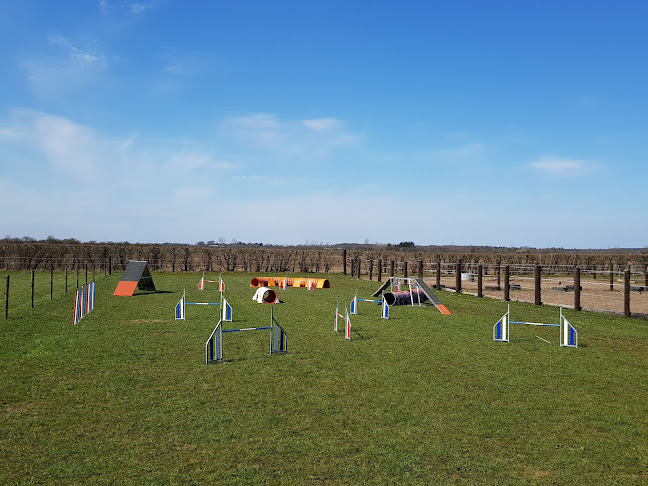 Agility Bane Gram (ABG) - Træningscenter