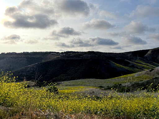 Park «Pacific Ridge Trailhead», reviews and photos, Ridge Park Rd, Newport Beach, CA 92657, USA