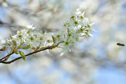 Nature Preserve «Creasey Mahan Nature Preserve», reviews and photos, 12501 Harmony Landing Rd, Goshen, KY 40026, USA