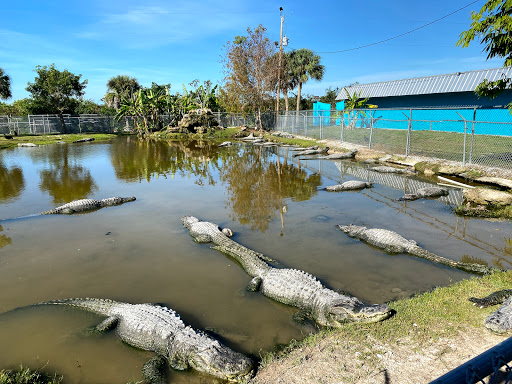 Nature Preserve «Big Cypress National Preserve», reviews and photos