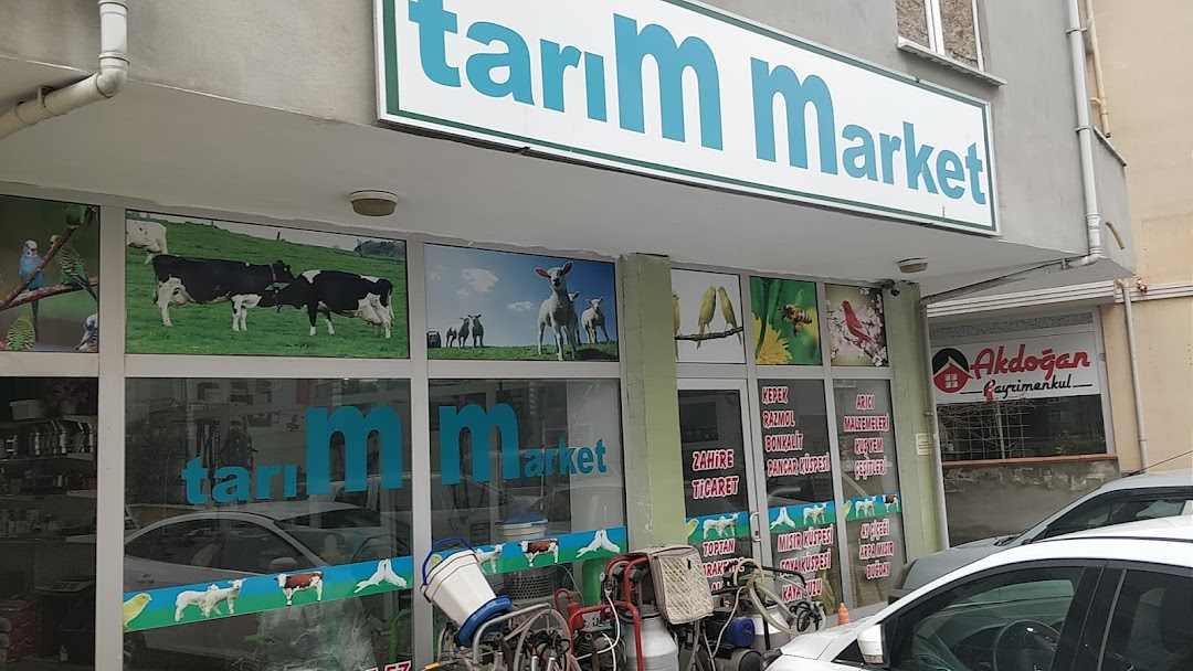 Tarm Market