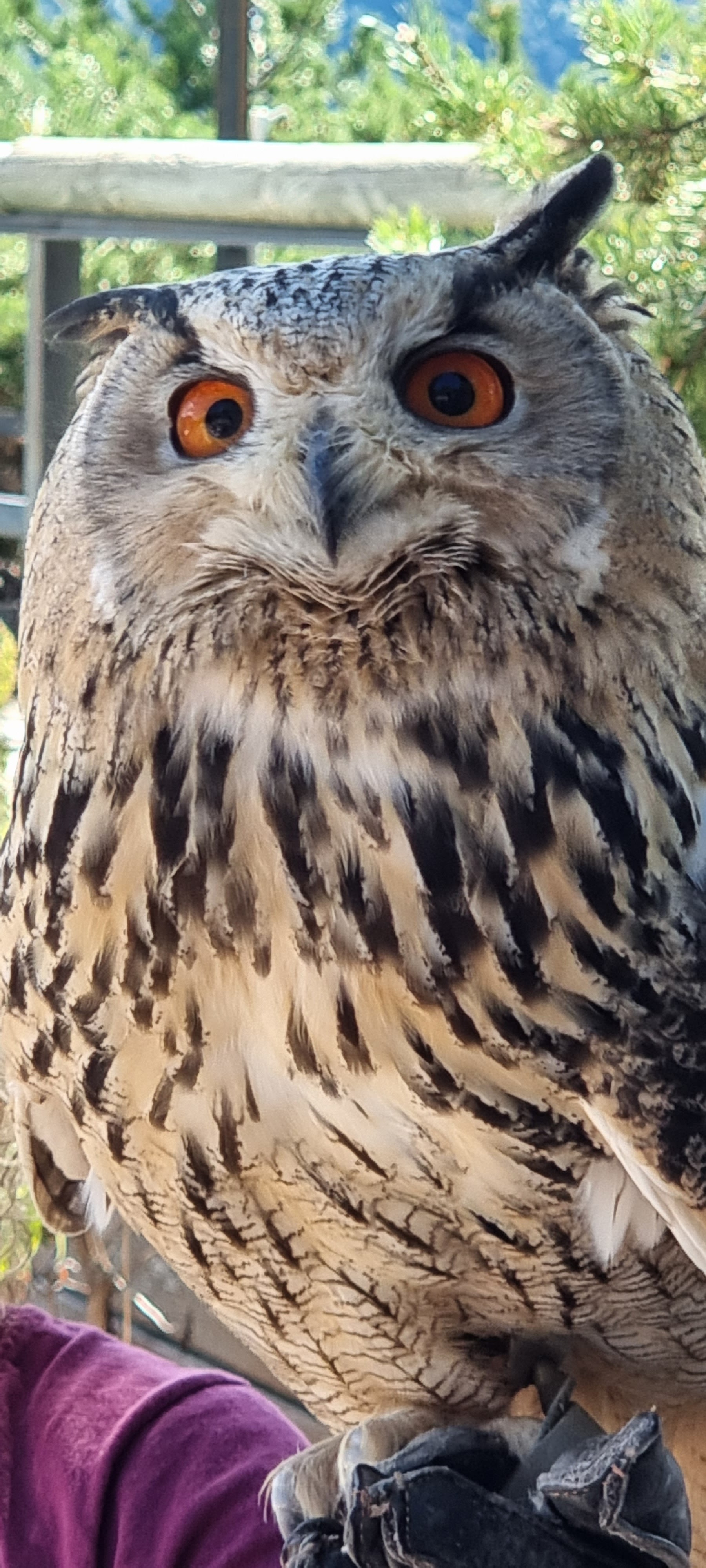 Photo n° 9 de l'avis de Didier.E fait le 03/09/2022 à 06:54