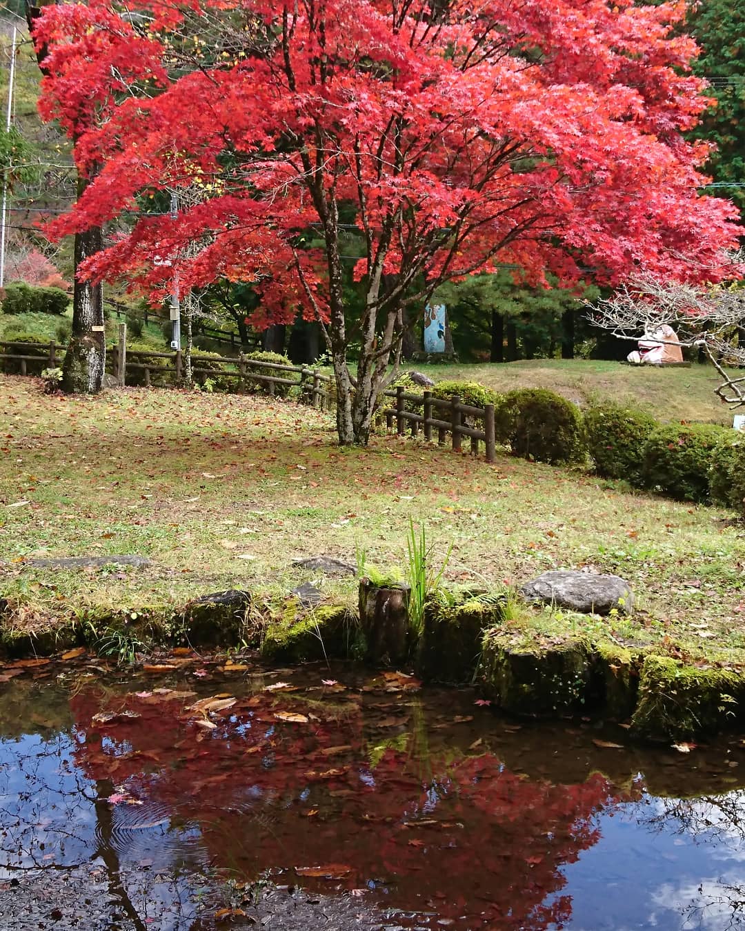 野底山森林公園