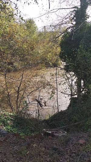 Appamatuck Park - photo 44