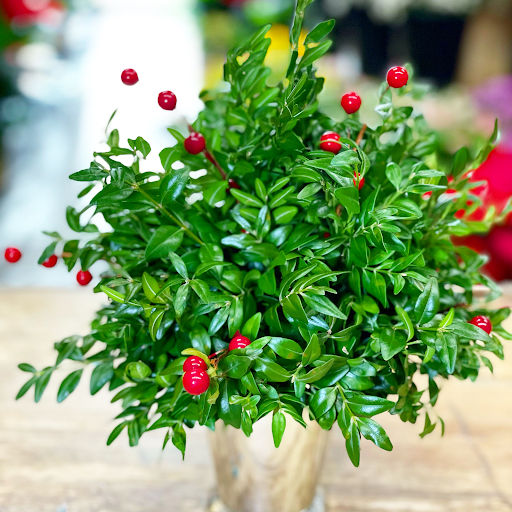 Florist «Imperial Flowers», reviews and photos, 393 Waller Ave #17, Lexington, KY 40504, USA