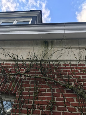 Amo Rénovation à Lille