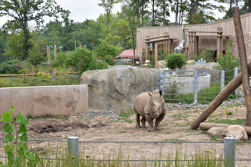 Zoo «Seneca Park Zoo», reviews and photos, 2222 St. Paul Street, Rochester, NY 14621, USA