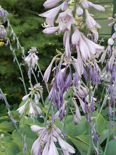 Event Venue «Modern Living Building», reviews and photos, 1301 S Fair Ave, Yakima, WA 98901, USA