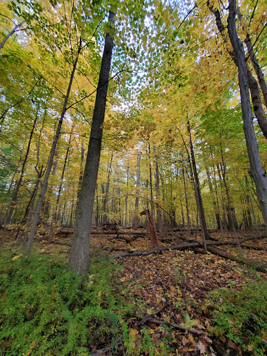 Nature Preserve «Sutherland Nature Sanctuary», reviews and photos, 3998 Diehl Rd, Metamora, MI 48455, USA