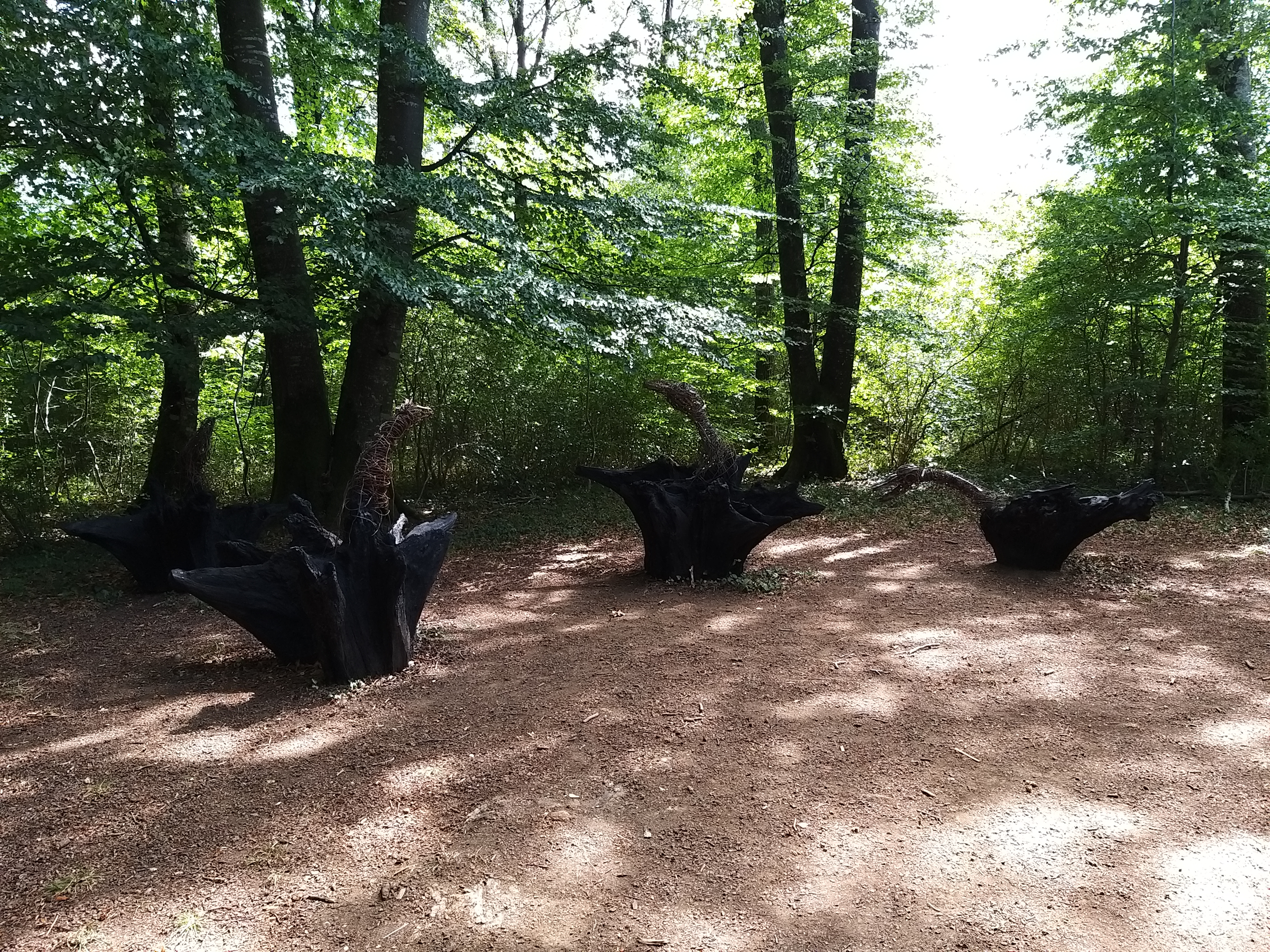 Photo n° 9 de l'avis de Patrice. fait le 30/08/2020 à 15:23