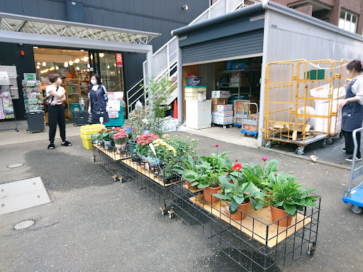 一番 Instagramのスペシャリスト 東京 お近く