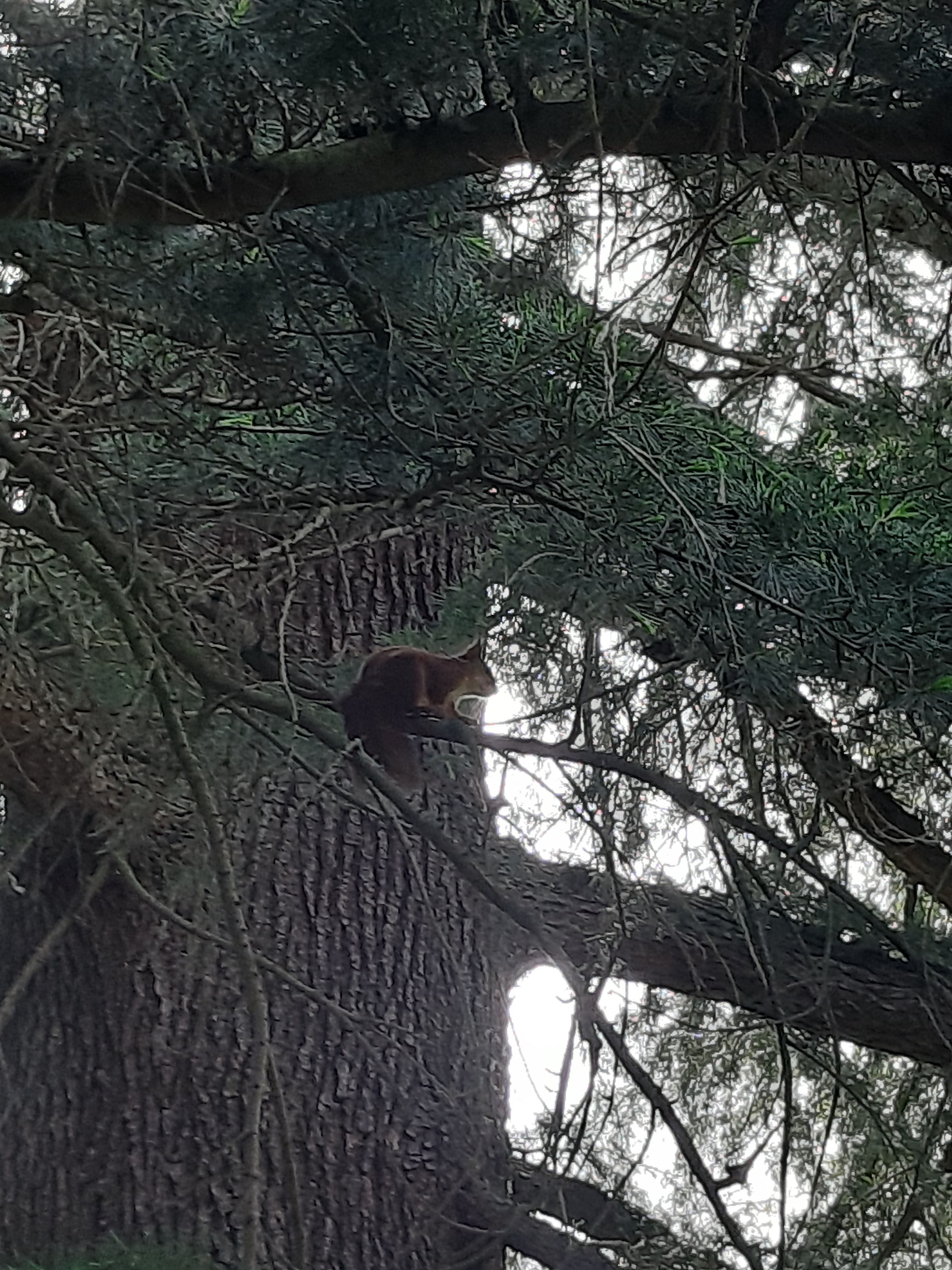 Photo n° 4 de l'avis de Alexandre.o fait le 30/04/2018 à 13:37