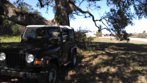 Grocery Store «Save-A-Lot», reviews and photos, 720 S Dixie Fwy, New Smyrna Beach, FL 32168, USA