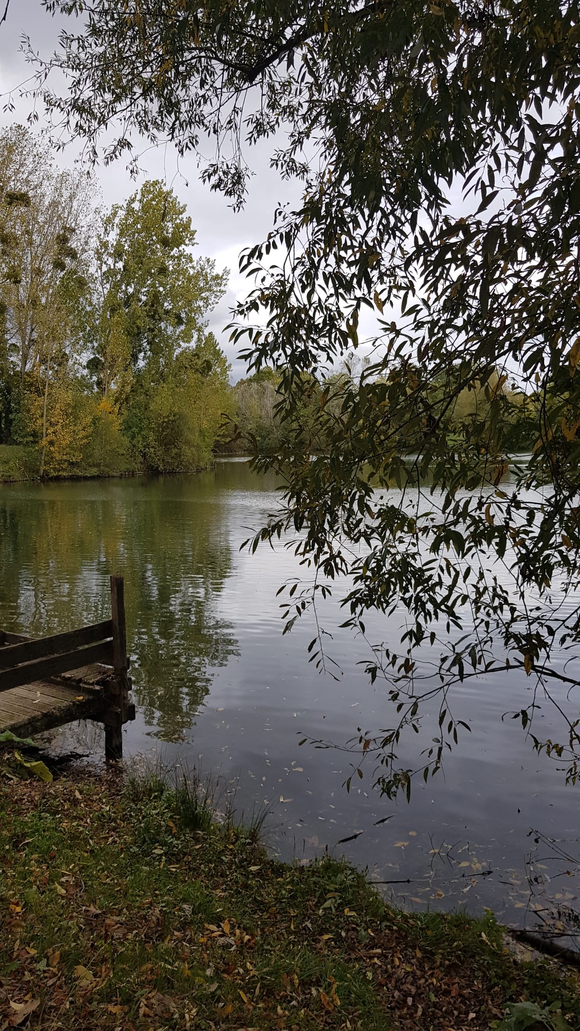 Photo n° 2 de l'avis de Marc.L fait le 16/10/2023 à 18:25