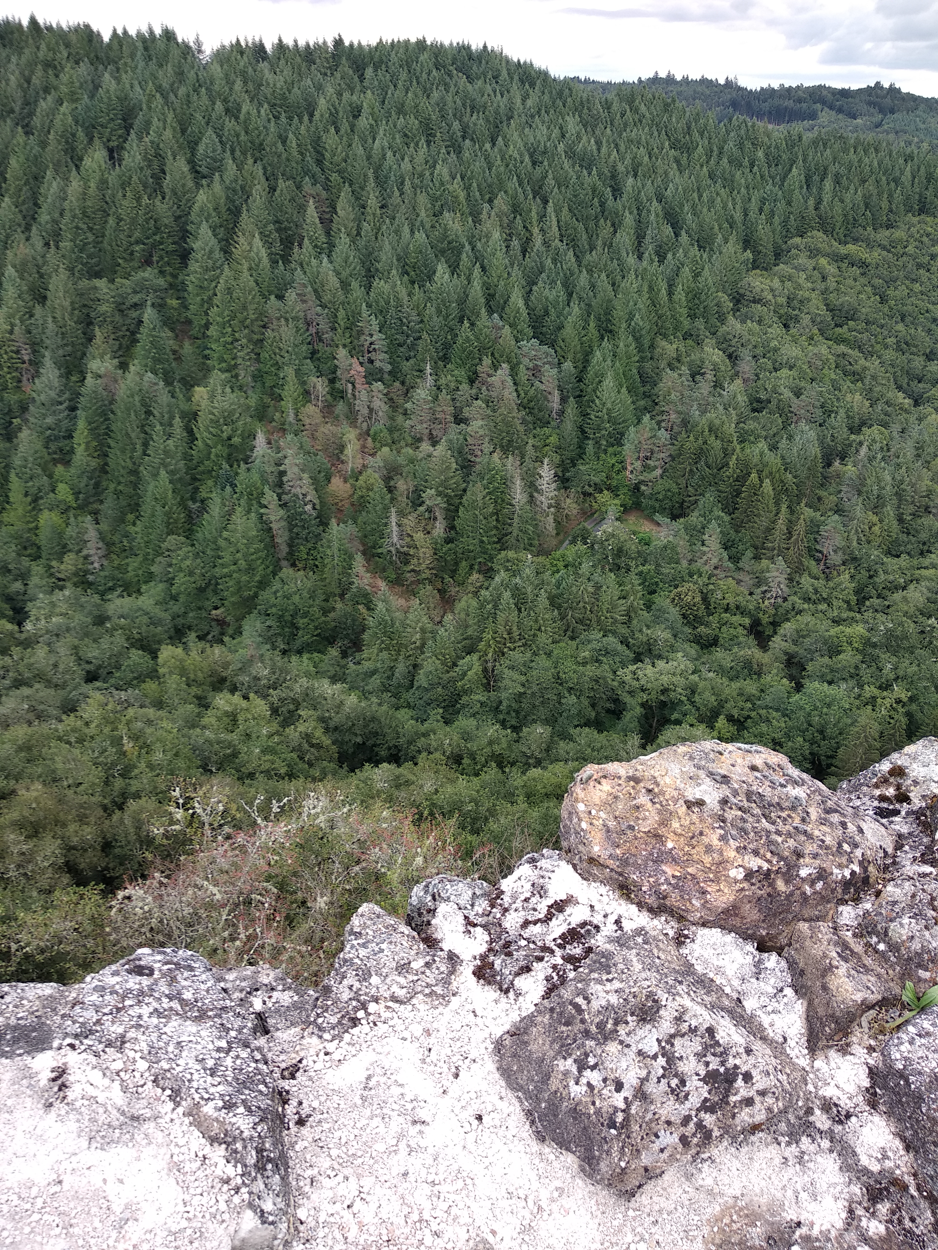 Photo n° 8 de l'avis de Eric.J fait le 31/08/2018 à 16:13