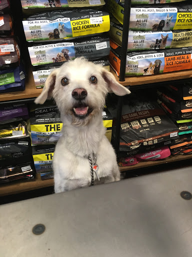 Pet Store «Rock Dog and Cat», reviews and photos, 1916 Colorado Blvd, Los Angeles, CA 90041, USA