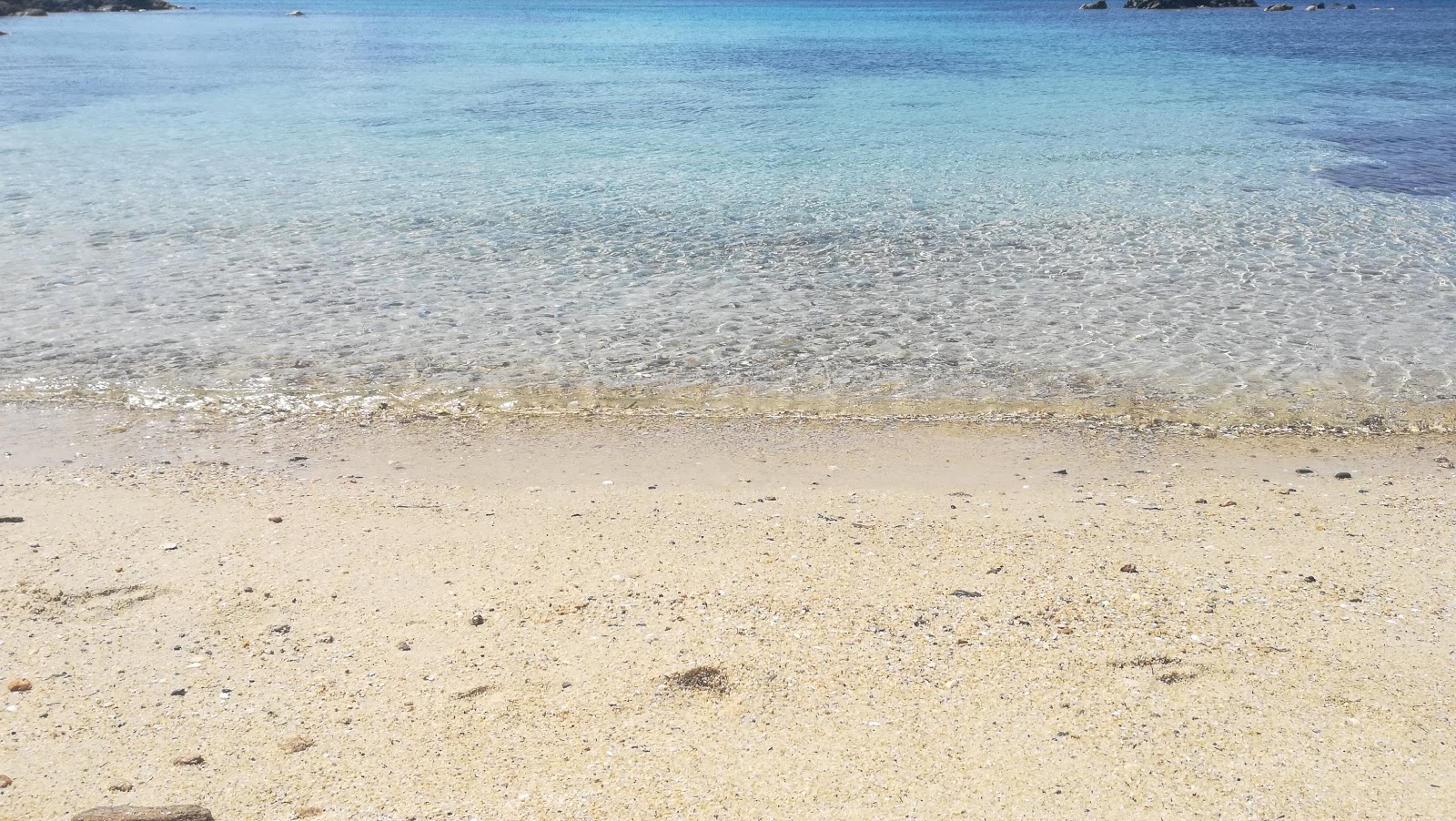 Caletta delle Tartarughe'in fotoğrafı doğal alan içinde bulunmaktadır