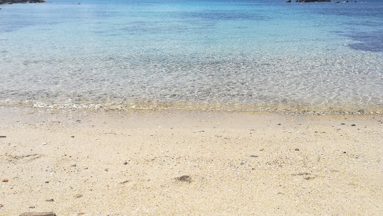 Caletta delle Tartarughe