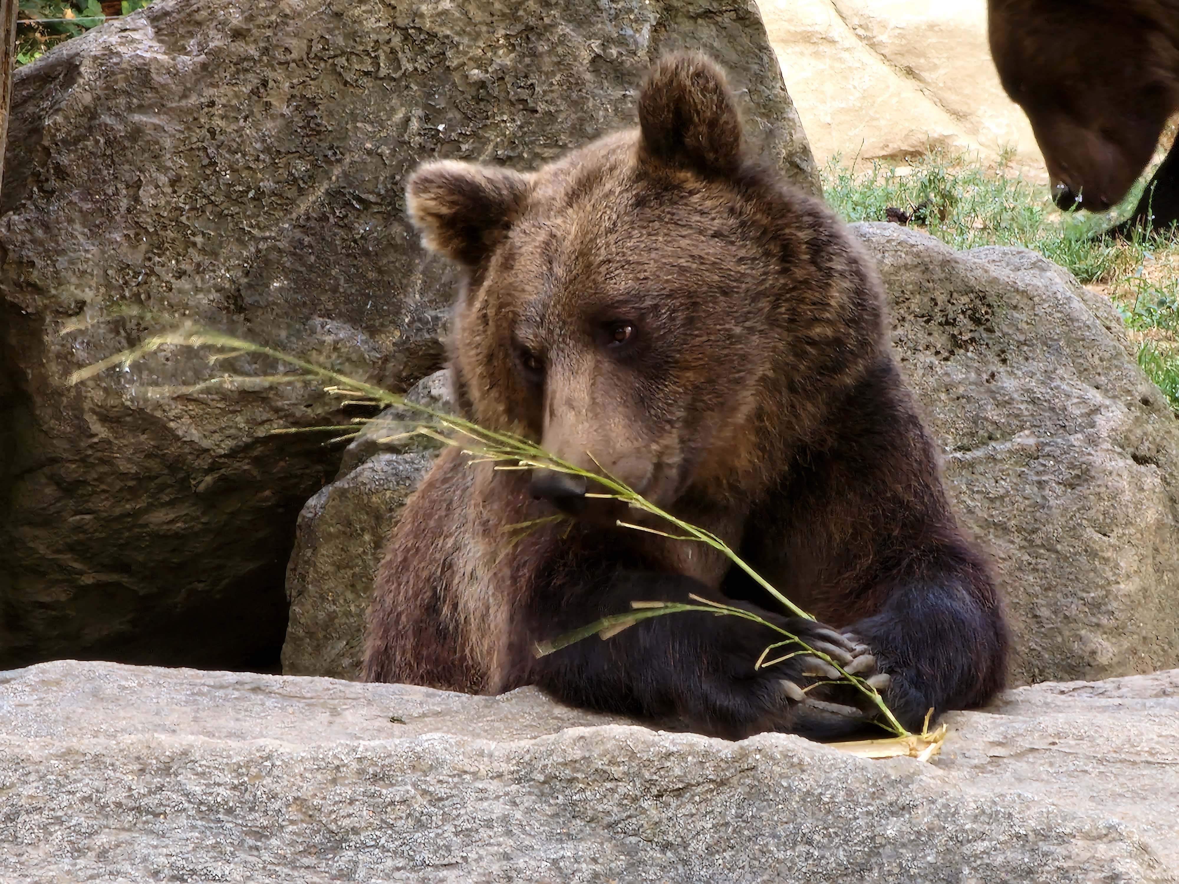 Photo n° 2 de l'avis de Andre.e fait le 09/08/2022 à 17:59