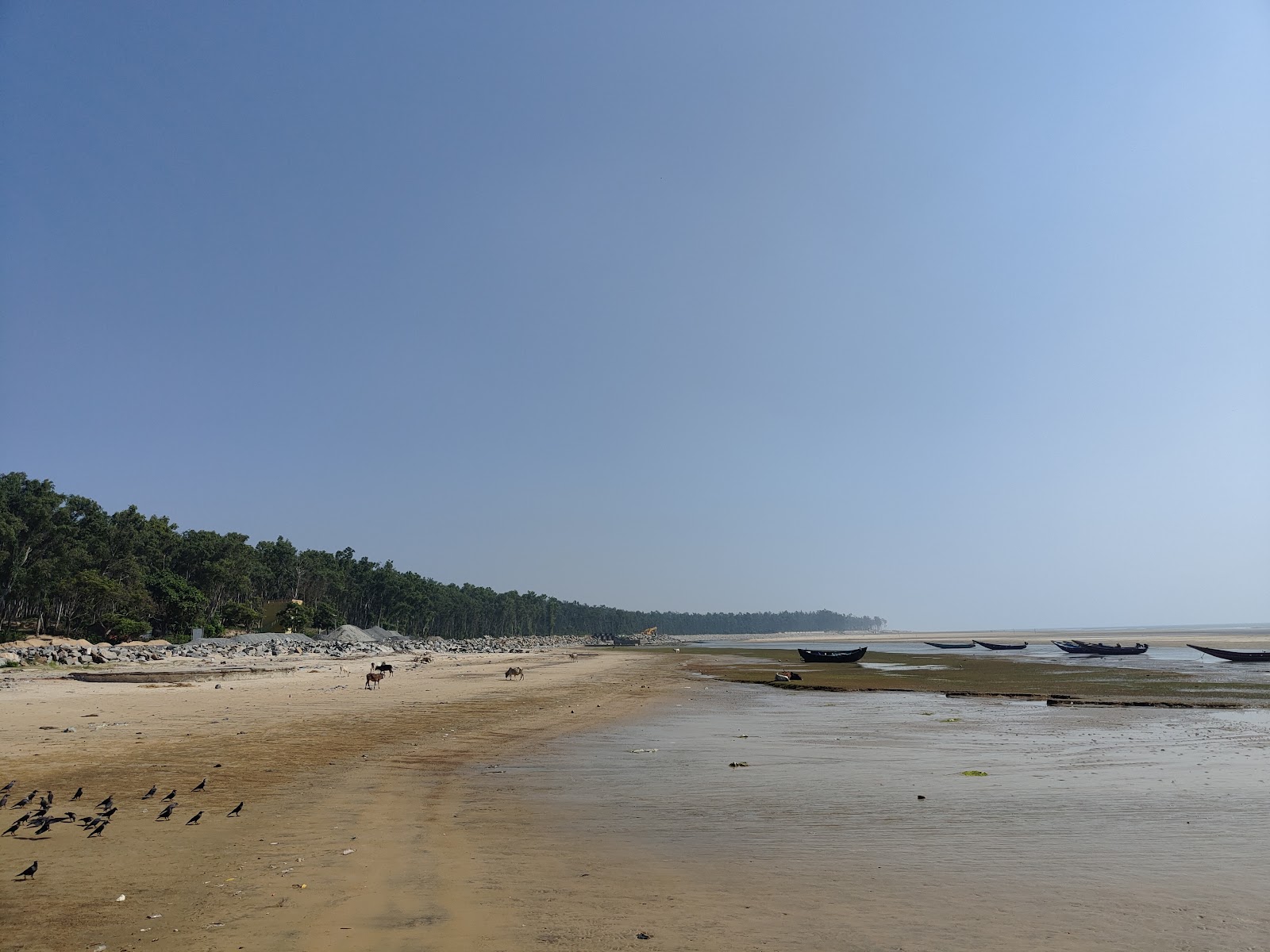 Talasari Beach'in fotoğrafı vahşi alan