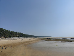 Foto af Talasari Beach med høj niveau af renlighed
