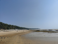 Talasari Beach'in fotoğrafı vahşi alan
