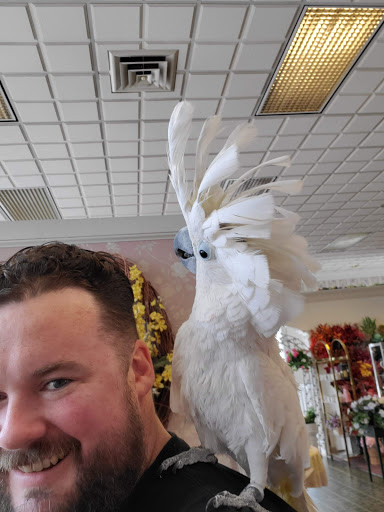 Florist «The Flower Boutique», reviews and photos, 39 N Washington St, Gettysburg, PA 17325, USA