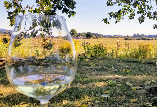 Vineyard «Keeler Estate Vineyard», reviews and photos, 5100 SE Rice Ln, Amity, OR 97101, USA