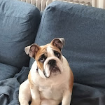 Photo n° 1 de l'avis de Tania.i fait le 20/02/2023 à 05:23 pour Clémence Chosson | Éducateur Comportementaliste Canin Félin à Grenoble