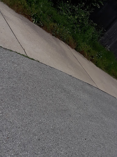 Tourist Attraction «Adventureworks Zipline Forest», reviews and photos, 4129 Whites Creek Pike, Whites Creek, TN 37189, USA