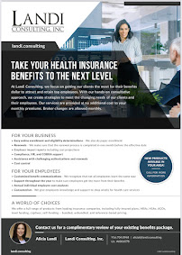 Landi Consulting, Inc. - Photo 4 - Car repair in , Roseville