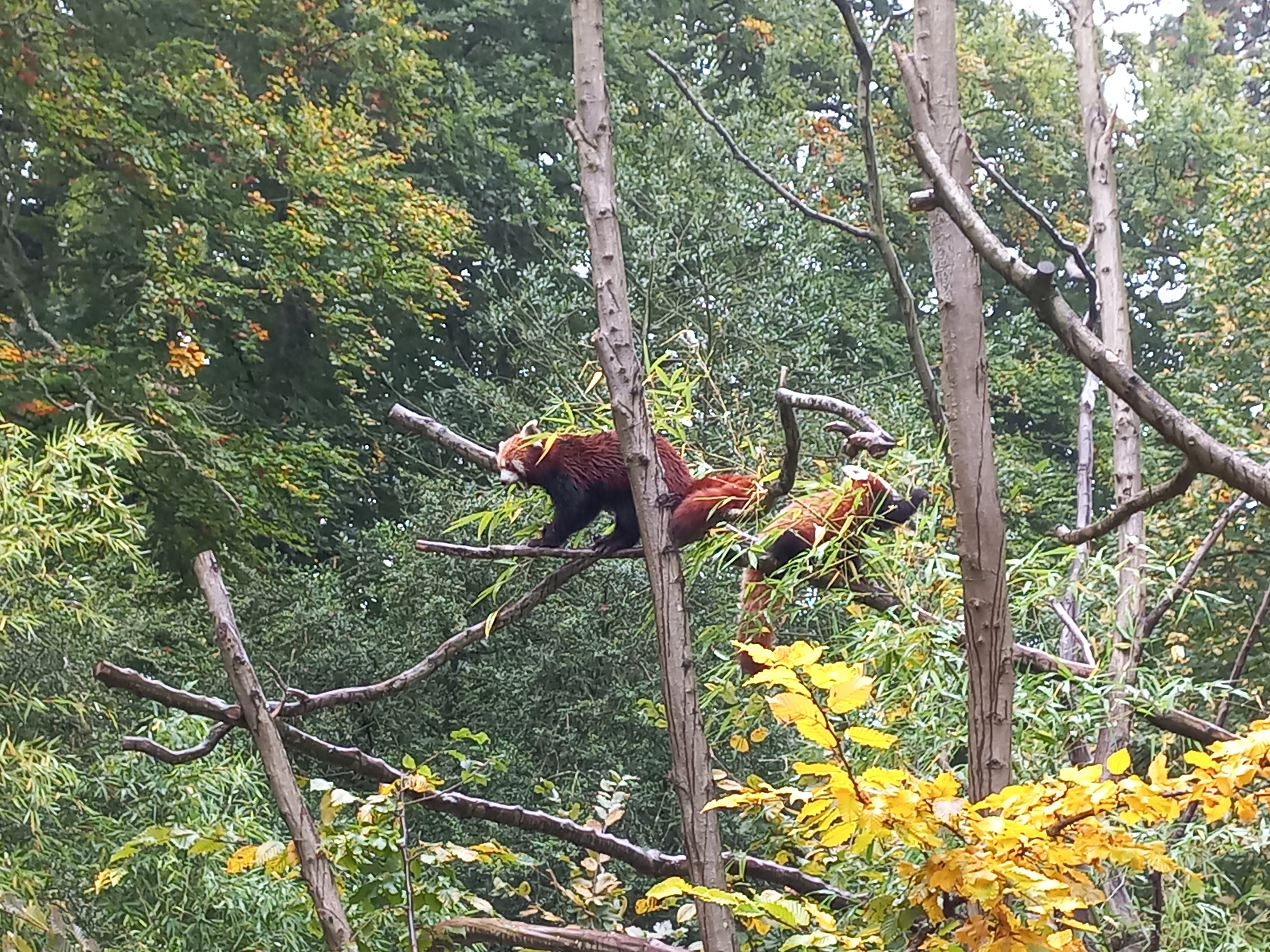 Photo n° 1 de l'avis de Ôtsuki. fait le 16/10/2022 à 14:47