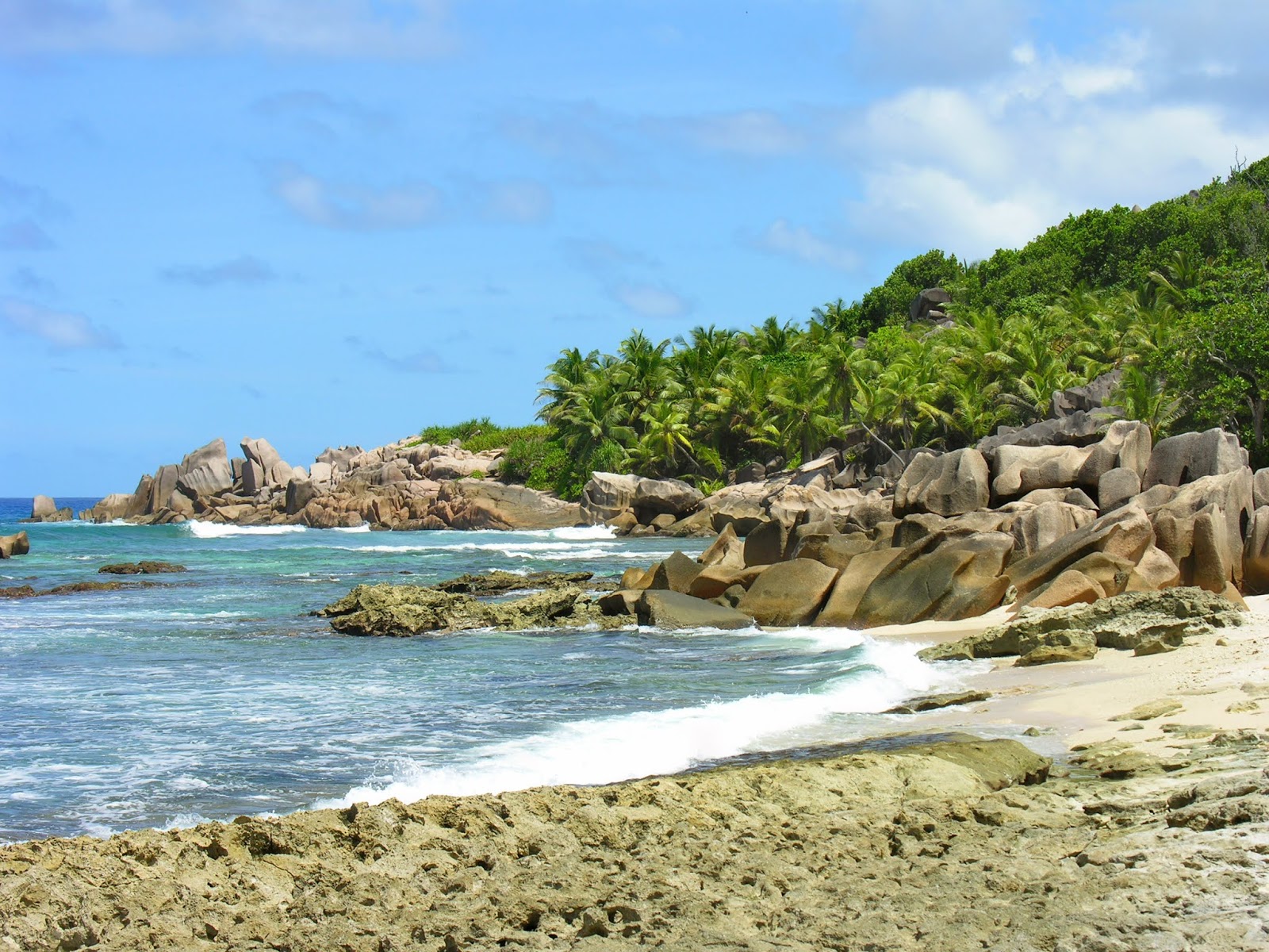 Grand l'Anse Beach'in fotoğrafı çok temiz temizlik seviyesi ile