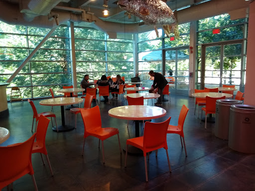 Planetarium «Chabot Space & Science Center», reviews and photos, 10000 Skyline Blvd, Oakland, CA 94619, USA