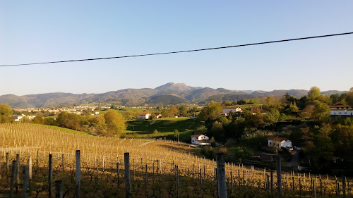 HIRUZTA BODEGA (Wine Shop) à Hondarribia