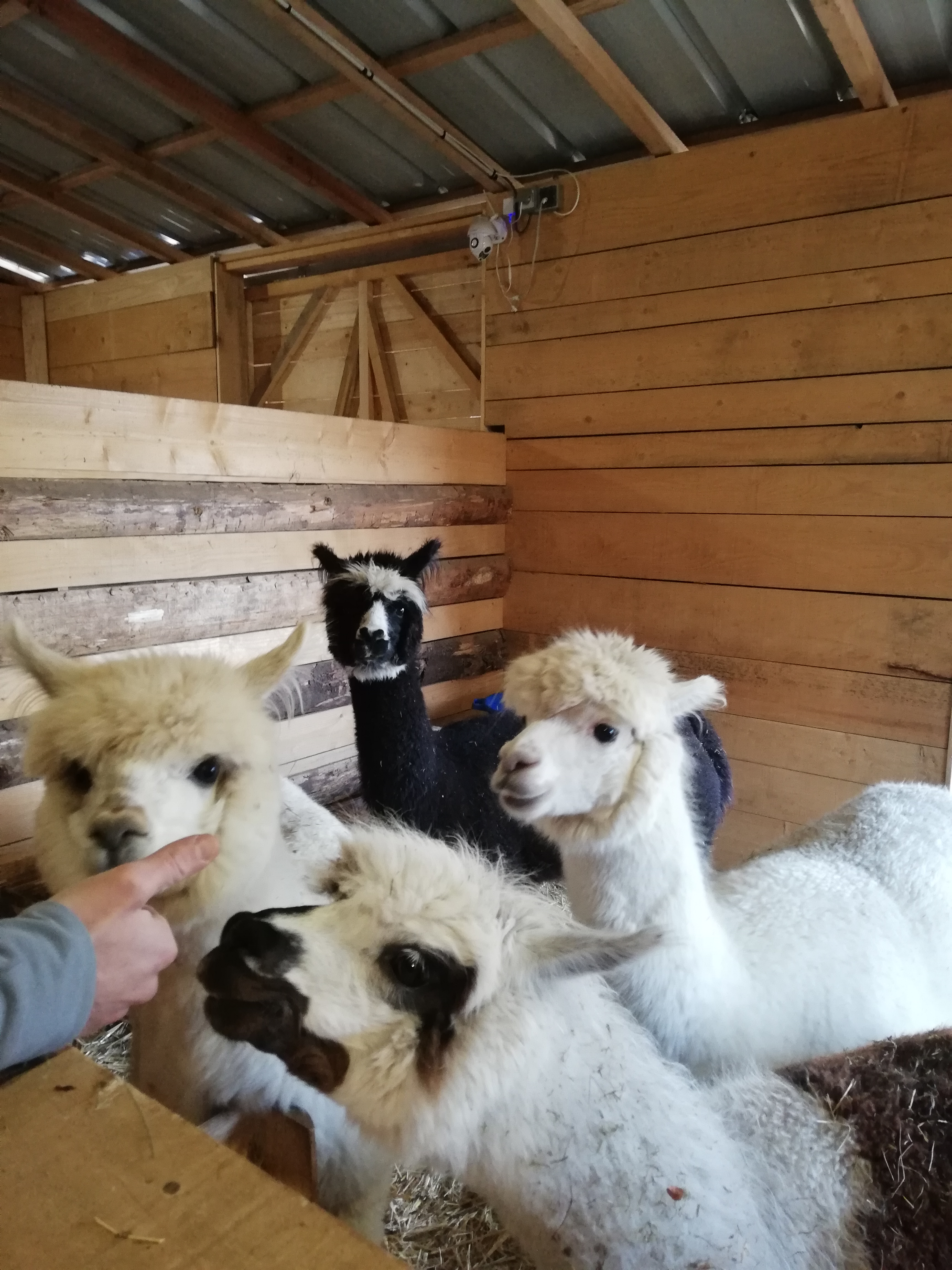 Photo n° 4 de l'avis de Noemie.a fait le 22/02/2021 à 21:43