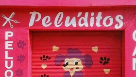 Peluqueria Canina Pelu’Ditos 🐾