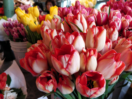 Florist «City Enchanted Gardens Florist», reviews and photos, 2246 W Taylor St, Chicago, IL 60612, USA