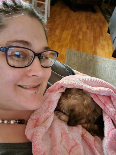 Pet Store «Dream Puppys», reviews and photos, 1461 Westgate Pkwy, Dothan, AL 36303, USA