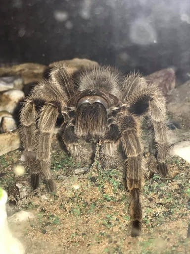 Pet Supply Store «Pet Supplies Plus», reviews and photos, 2500 S Main St, Rice Lake, WI 54868, USA