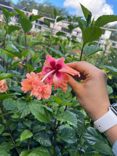 Home Improvement Store «The Home Depot», reviews and photos, 10151 Bloomingdale Ave, Riverview, FL 33569, USA