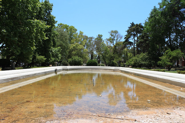 Jardim da Quinta de Santa Clara - Jardinagem