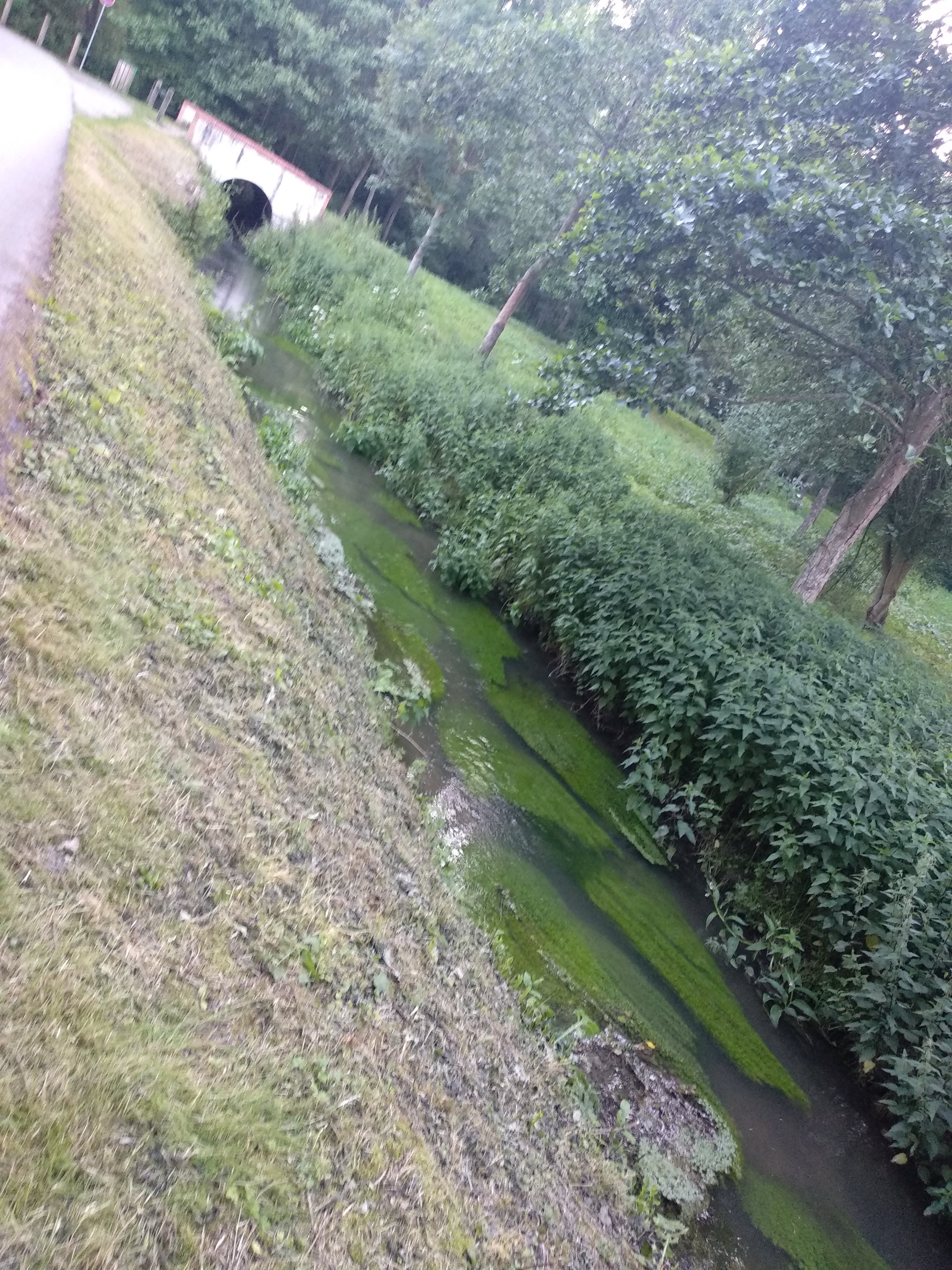 Photo n° 11 de l'avis de Taras.a fait le 17/06/2019 à 05:19