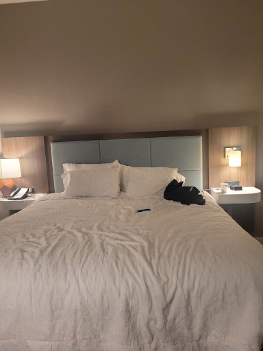 Hampton Inn & Suites Gilroy image