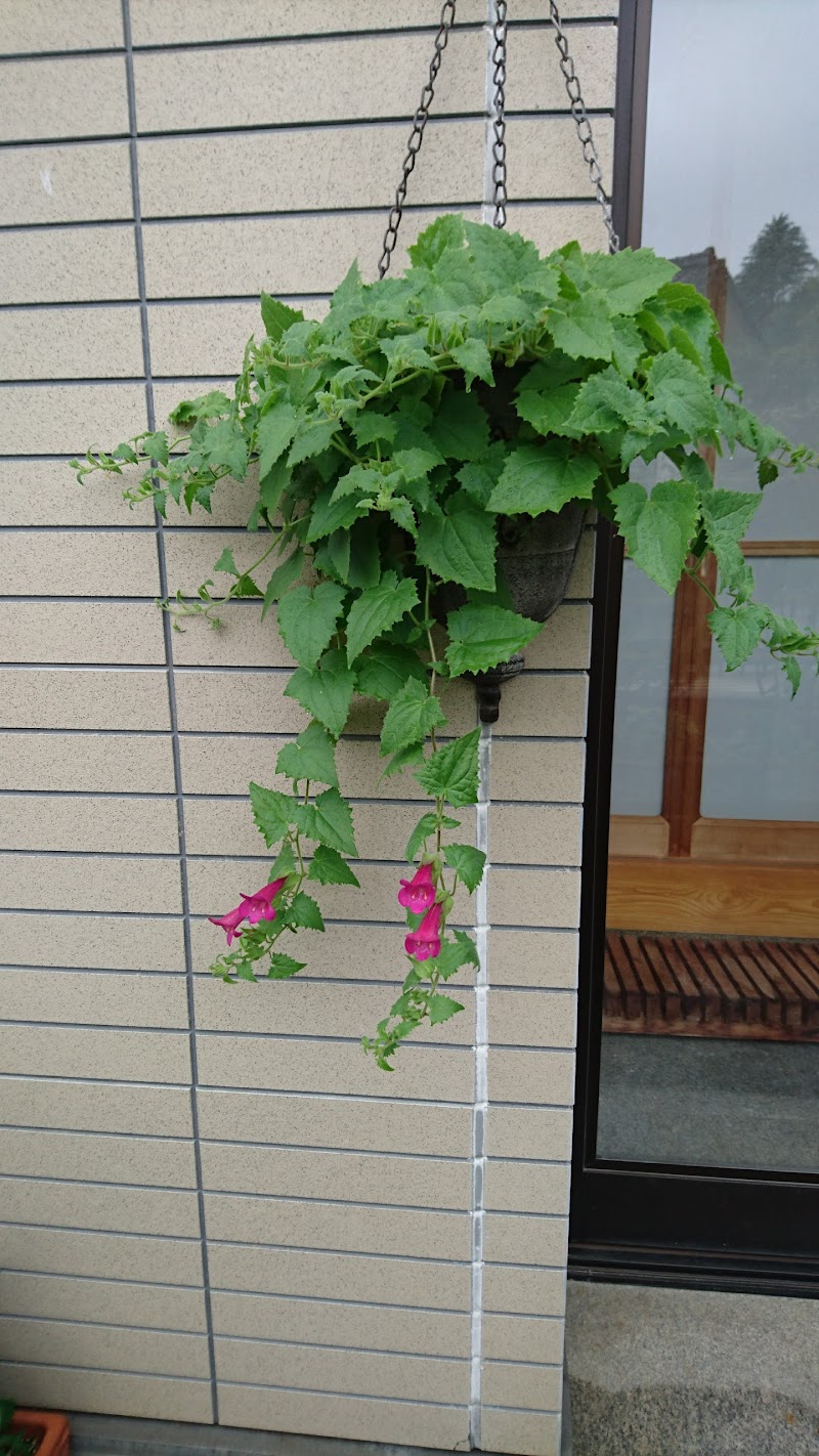 コットン美容室 岐阜県中津川市駒場 美容院 美容院 グルコミ