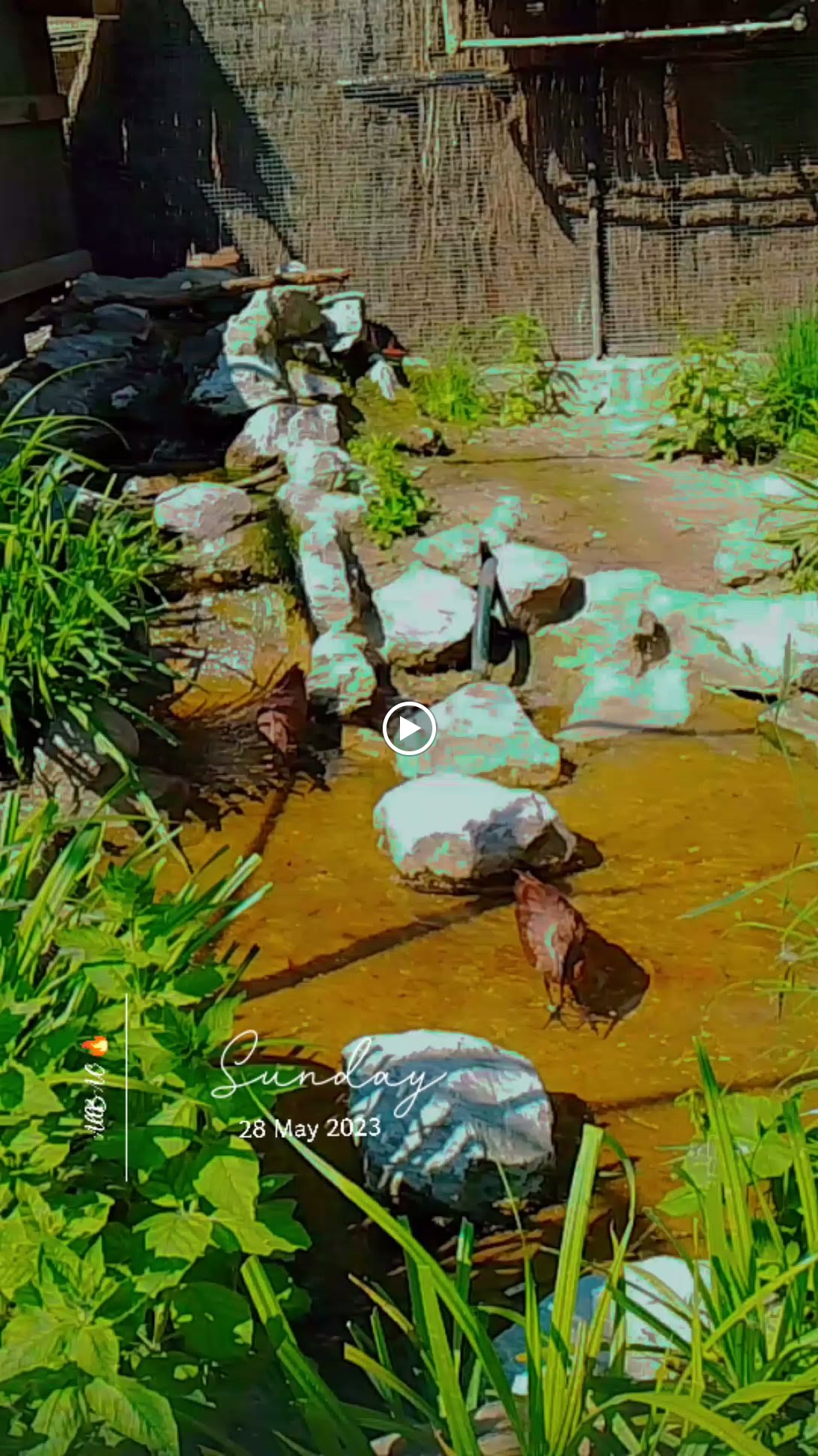 Photo n° 3 de l'avis de Baco.x fait le 28/02/2023 à 10:19