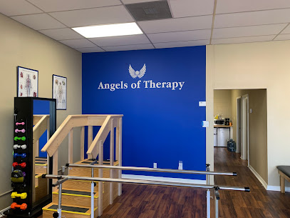 Angels of Therapy LLC
