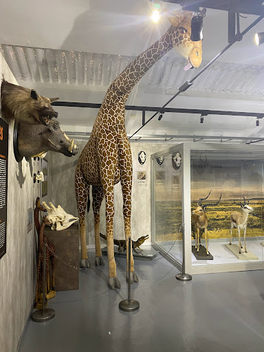 MUBIO - Museo de la Biodiversidad