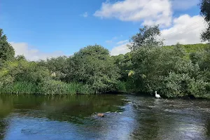 River Nore image