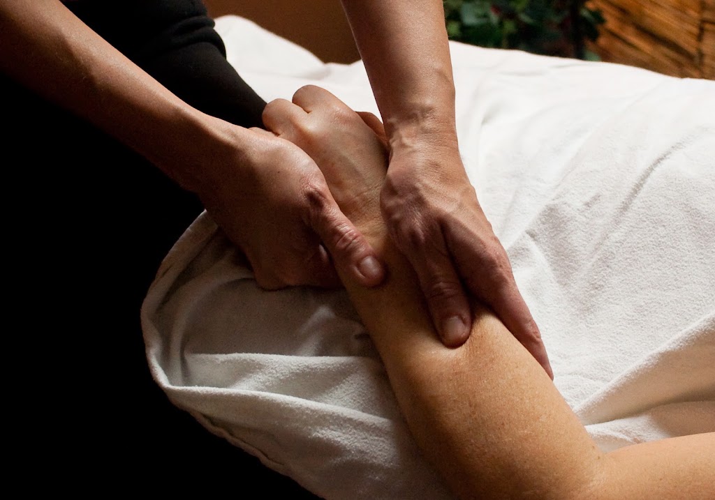 Body Insight Wellbeing Catalyst 78676